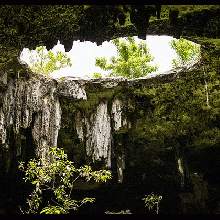 Los cenotes mexicanos